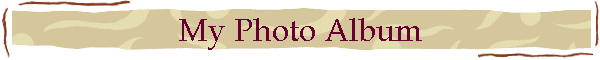 My Photo Album